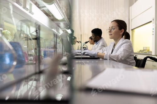 Preview: Row of young intercultural scientists working in laboratory
