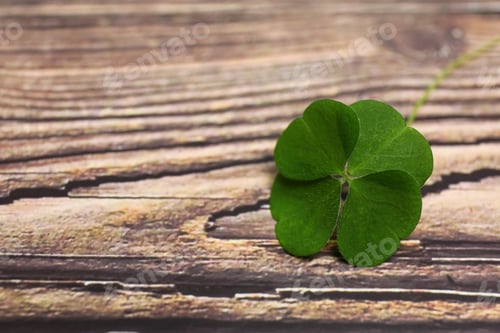 Preview: Beautiful green four leaf clover on wooden table. Space for text
