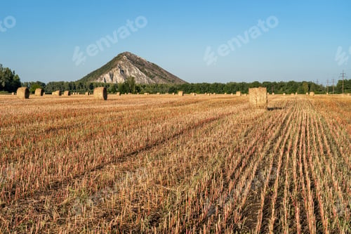 Preview: Mowed field and straw bales laid one after the other after harvest against the cloudy sky