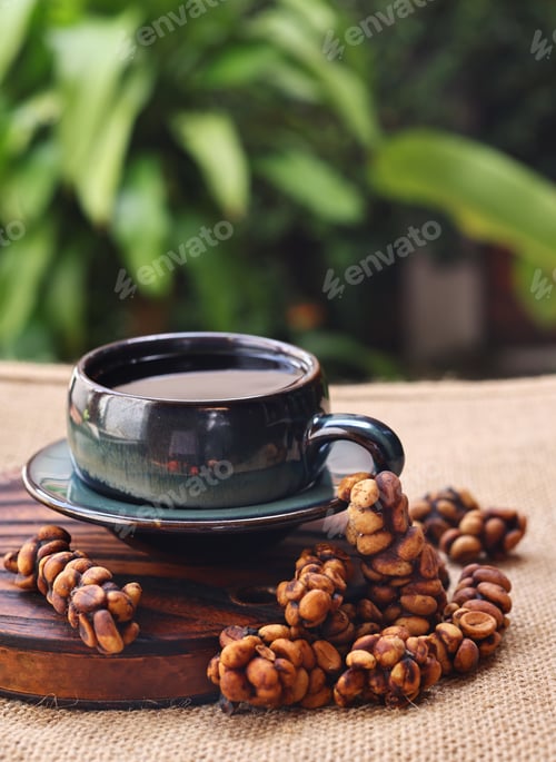 Preview: Luwak coffee beans are a rare and expensive delicacy