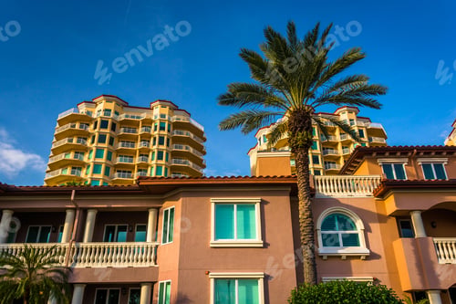 Preview: Palm Trees, Houses And Condo Towers In Saint Petersburg, Florida.