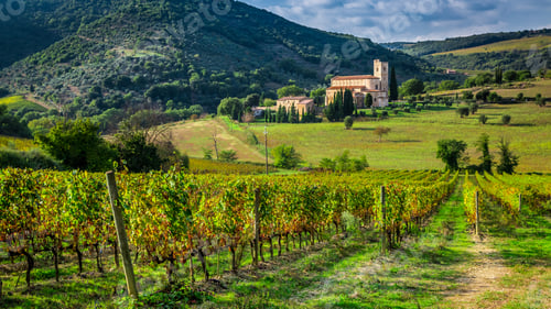 Preview: Vineyards and the monastery in Tuscany