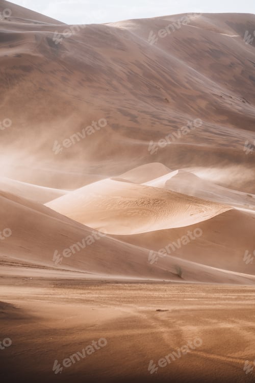 Preview: Sand texture in Morocco Sahara Merzouga Desert portrait oriented
