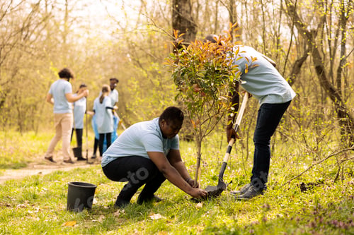 Preview: Volunteers group doing community service to plant more trees