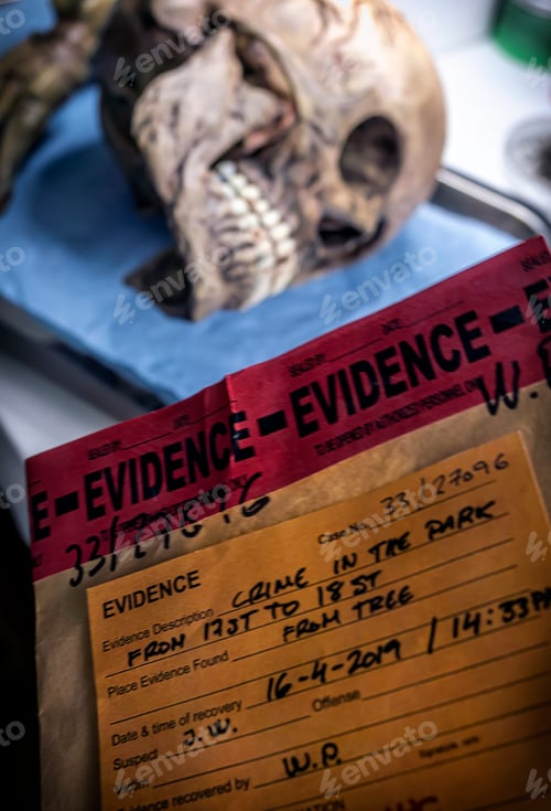 Preview: Scientific evidence bag next to human remains in a forensic laboratory, conceptual image