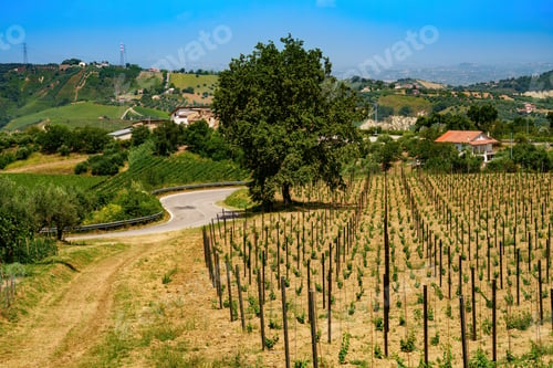 Preview: Country landscape near Orsogna and Bucchianico, Abruzzo, Italy