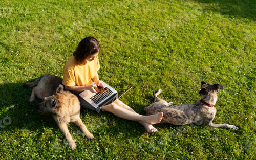 Preview: Woman Works on Laptop with Two Dogs