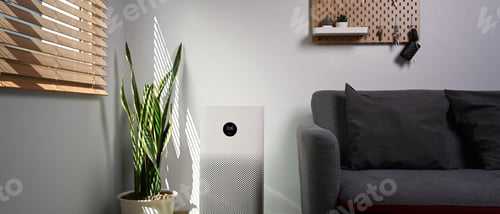 Preview: Air purifier with houseplant on the floor. Air pollution concept.