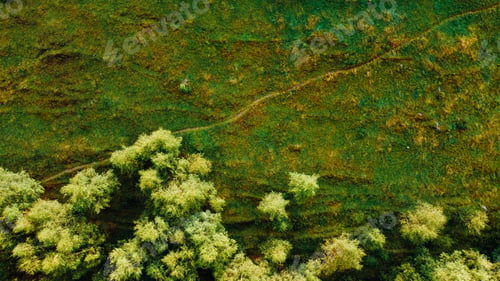 Preview: Natural texture for background.