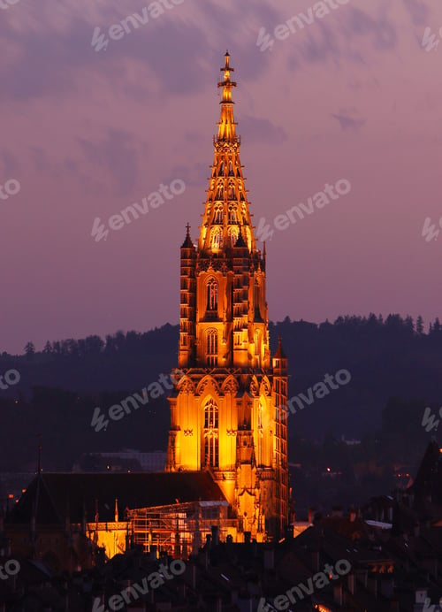 Preview: The Bernise Münster