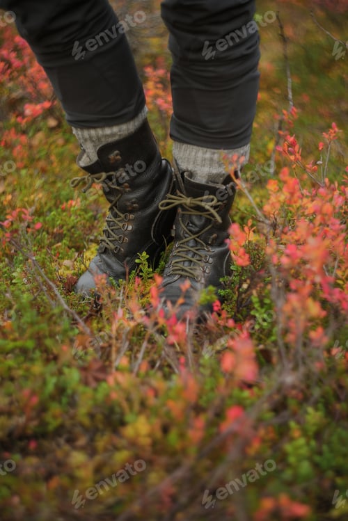 Preview: Leather hiking boots autumn tundra crop