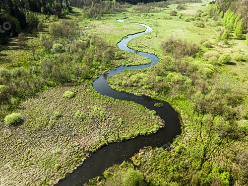 Visualização: Pequeno rio e pântanos na primavera. Vida selvagem na Polônia.