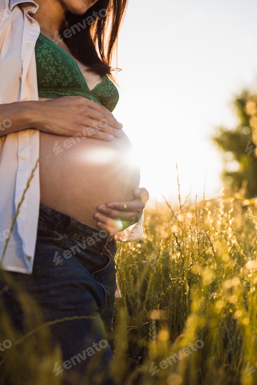 Preview: Pregnant woman holding belly in sunlit field at sunset. Lifestyle.