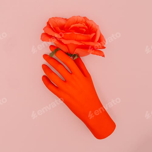 Preview: Fake red hand and roses. Minimal art. Congratulation concept
