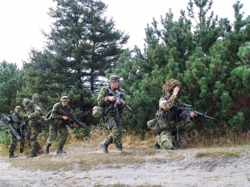 Preview: A squad of soldiers running through the forest fully-armed