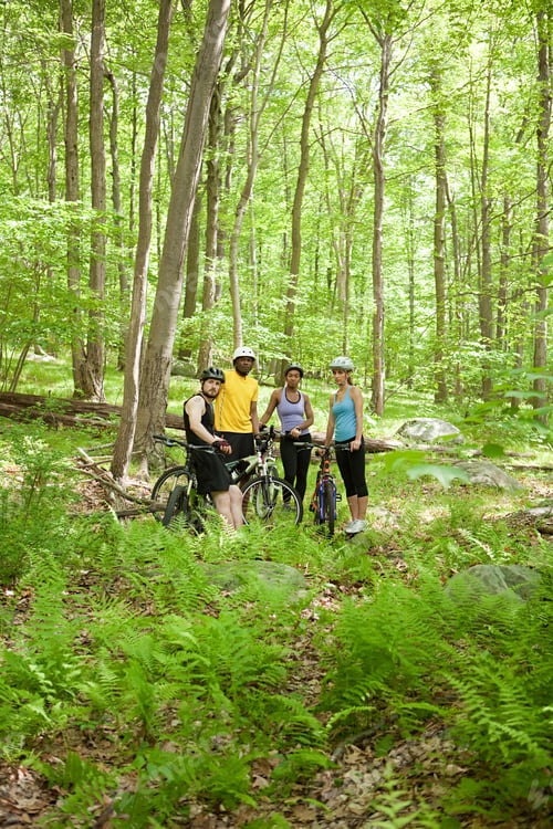 Preview: Group of friends taking a break during a bike ride in the forest