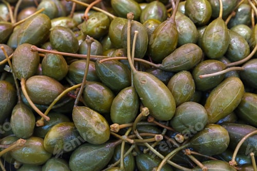 Preview: Green pickled big capers close up background