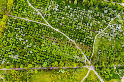 Preview: View from the height of the loshitsky Park in Minsk.Winding paths in loshitsky Park.Belarus.Apple