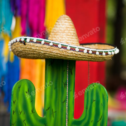 Preview: Close up of creative cactus in sombrero hat for taking photo