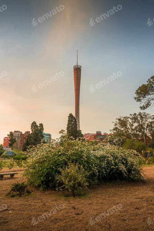 Preview: A tall tower is in the background of a field with a bunch of flowers