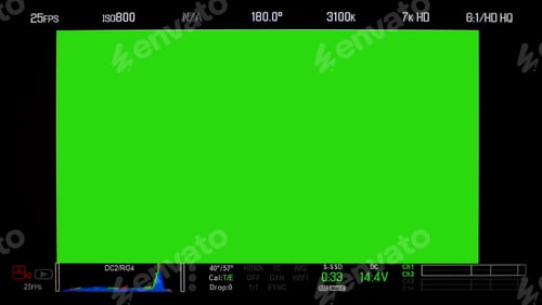 Preview: Recording monitor screen display.