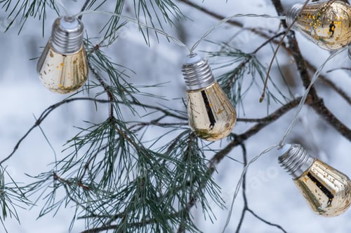 Preview: Garland in shape of electric bulbs outdoor in Christmas tree. Fir branches covered with snow winter