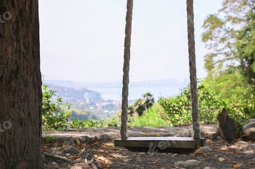 Preview: Beautiful wooden swing with ropes in mountain forest