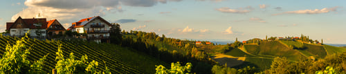 Preview: Panorama of Vineyards along the South Styrian Wine Road in Summer, Austria Europe