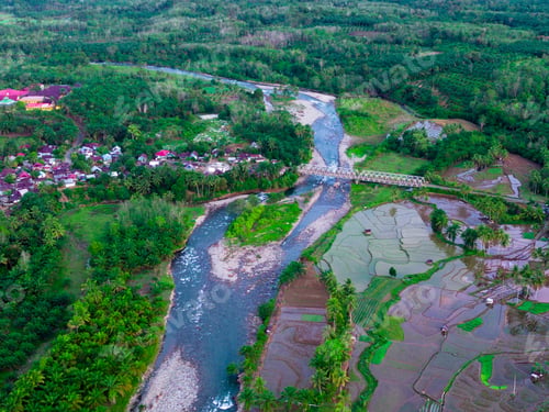 Preview: Beautiful morning view indonesia panorama landscape paddy fields