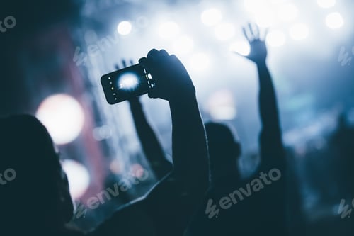 Preview: Cheering crowd at concert enjoying music performance