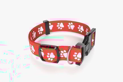 Preview: Red Paw Print Dog Collar