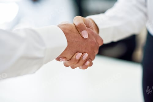 Preview: Caucasian businessman shaking hands with businesswoman in an off