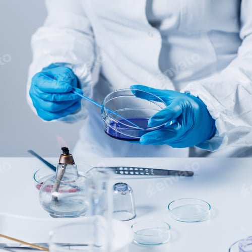 Preview: Food safety