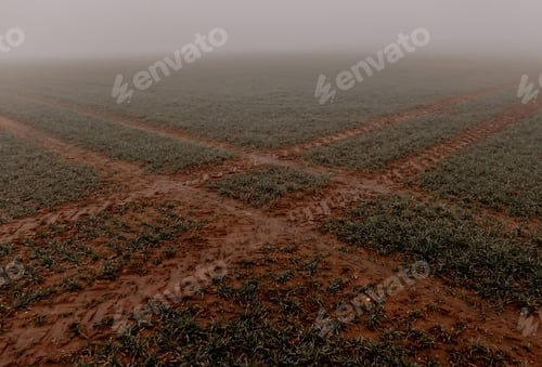 Preview: country crossroads in a fog time