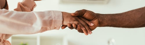 Preview: cropped view of african american woman shaking hands with african american handyman, panoramic shot