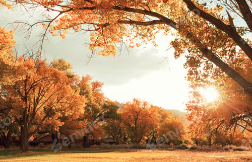 Preview: Autumn garden