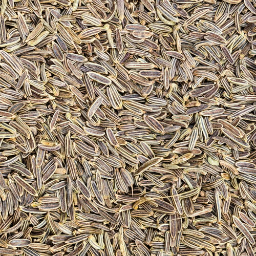 Preview: kala zeera (Elwendia persica) seeds close up