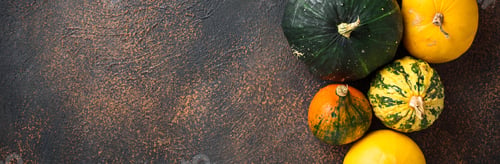 Preview: Assortment of decorative pumpkins. Autumn background
