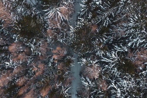 Preview: Top view on winter forest and mountain road