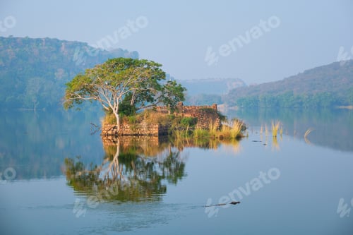 Preview: Serene morning on lake Padma Talao. Ranthambore National Park, Rajasthan, India