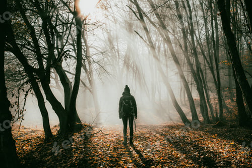 Preview: woman and dog strolling in beautiful foggy forest in autumn