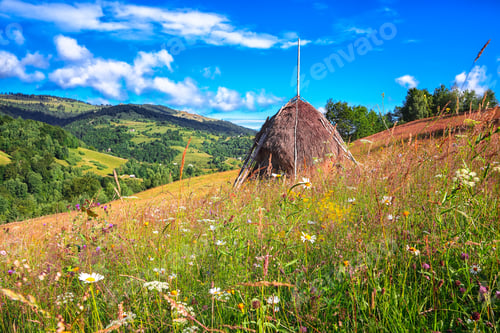 Preview: Beautiful countryside landscape with forested hills and haystacks on a grassy rural field