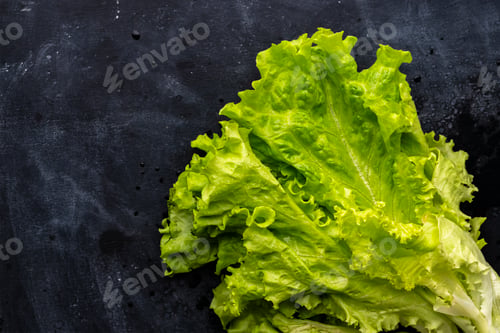 Preview: raw fresh green organic lettuce leafs isolated, vegeterian healthy foods