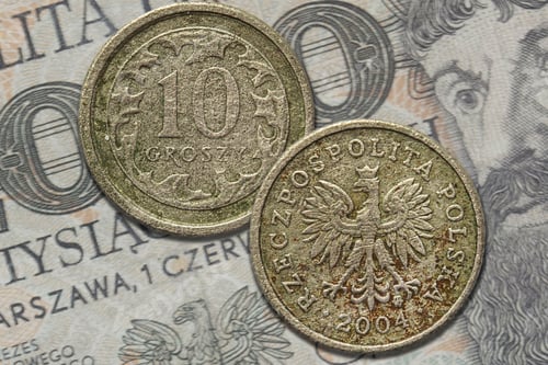 Preview: Closeup shot of Polish 10 grosz coins on a bankntone