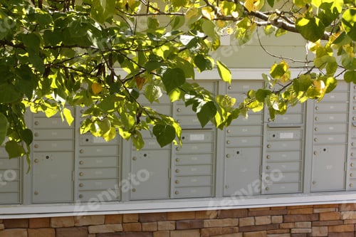 Preview: Apartment Mailboxes - Photograph Of Mailboxes At An Apartment Complex With Green Leaves In Front Of