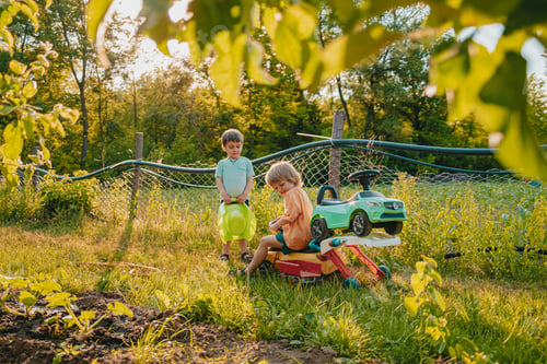 Preview: Cute little boys playing together on green summer garden background. Brothers riding plastic cars
