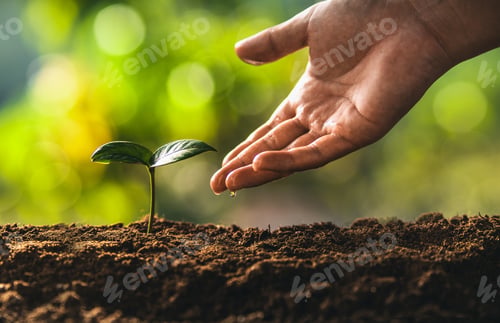 Preview: Trees are growing on the ground and hands are taking care of the trees