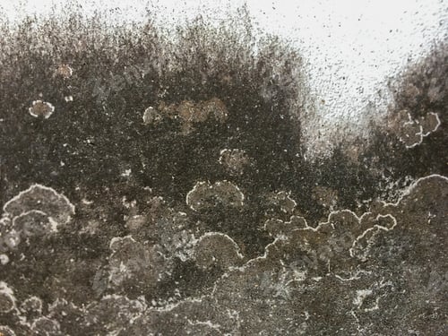 Preview: Old wall background
