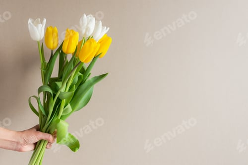 Preview: Hand Holding White and Yellow Tulip Flower Bouquet