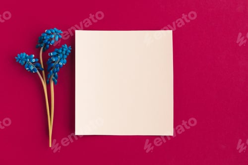 Preview: Mockup. Beautiful natural flowers on a plain background.